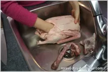 качка