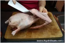 гусакабо
