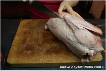 гусакабо