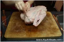 гусакабо