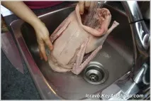 гусакабо