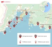 Приморські Щелепи - рік у рік акули-людожери пішли, але можуть і повернутися акули-людожери