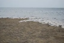 світу