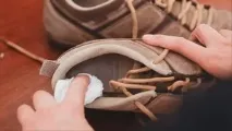 днів
