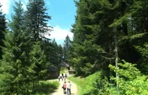 7 причин поїхати влітку на відпочинок до Карпат відпочинок