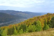 7 причин поїхати влітку на відпочинок до Карпат влітку