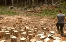 А як ти колеш дрова колеш
