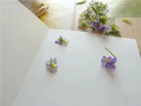 способи