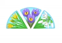 Арт-терапія, ізотерапія, кольоротерапія ізотерапія