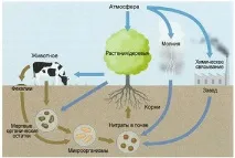 системи