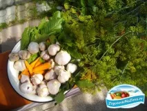 кабачки