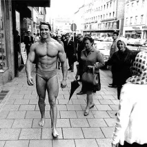 Арнольд Шварценеггер (Arnold Schwarzenegger) arnold