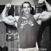 Арнольд Шварценеггер (Arnold Schwarzenegger) шварценеггер