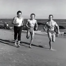Арнольд Шварценеггер (Arnold Schwarzenegger) arnold
