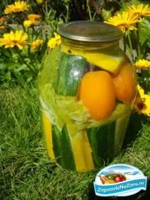 капусти