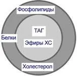 Ліпопротеїни щільності