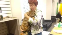 купити