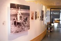 Грюйєр - традиційний сир та історичний регіон Швейцарії традиційний