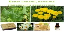 коліна