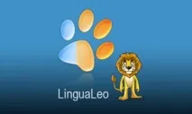 Бізнес на мові або Історія успіху LinguaLeo мові