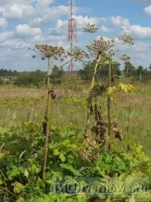небезпечненеконтрольована