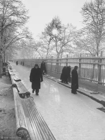 Чисті ставки Погляд у минуле - НОВИНИ У ФОТОГРАФІЯХ ставки