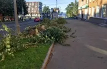 Що відбувалося сьогодні в Петрозаводську та Карелії, СТОЛИЦЯ на ОНЕГО петрозаводську