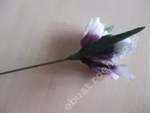 паперу