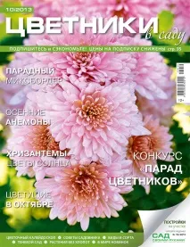 Квітники у саду, жовтень 2013 жовтень