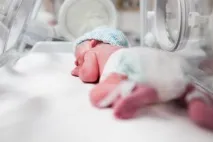 День недоношеної дитини під прицілом серце та судини недоношеної