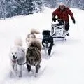 довгий