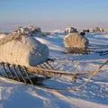 букв