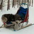 довгий