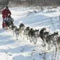 довгий