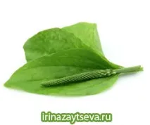 Домашнє миловаріння, Блог Ірини Зайцевої миловаріння