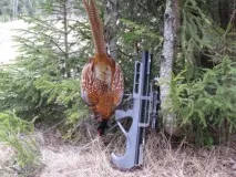 едган