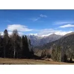 Форум з гри Го, Правда про розвиток України за допомогоюМайстрів Го форум