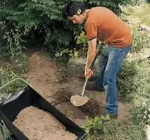 своїми