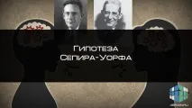 Гіпотеза Сепіра-Уорфа, Блог 4brain блог