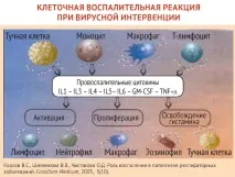 Грип у сучасних умовах Противірусна терапія прямої дії грип