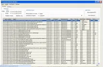 Internet Access Monitor – пропускний контроль для Інтернету internet
