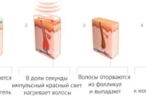 домашніх