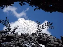 факти