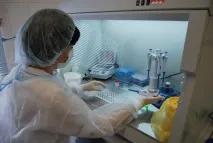 Які аналізи здають при кондиломах кондиломах