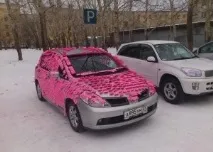 життя