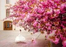 Як позначити рамки весільного бюджету та залишатися в них The Bride залишатися