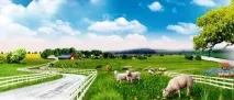 Як перевести ЛПХ до КФГ документи