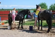 побудувати