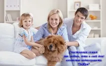 Як продати квартиру кімнату в Чебоксарах власнику житла, Агентство нерухомості - ЕлІум - Іри квартиру