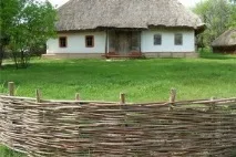 Як зробити тин у себе на дачній ділянці ділянці